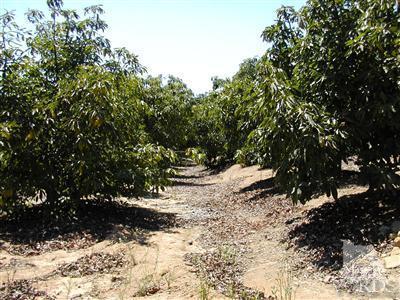 1 Hall Road Santa Paula, CA 93060 - Photo 9 of 13 Additional Photo