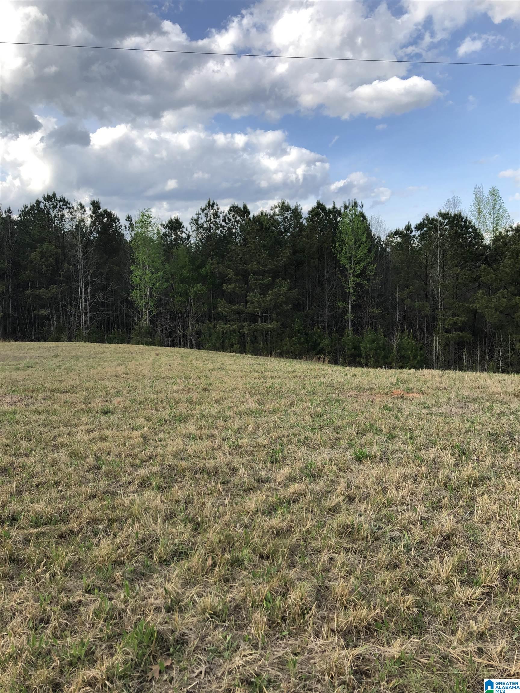 0 County Road 835, Unit 1 Clanton, AL 35046 - Photo 5 of 5