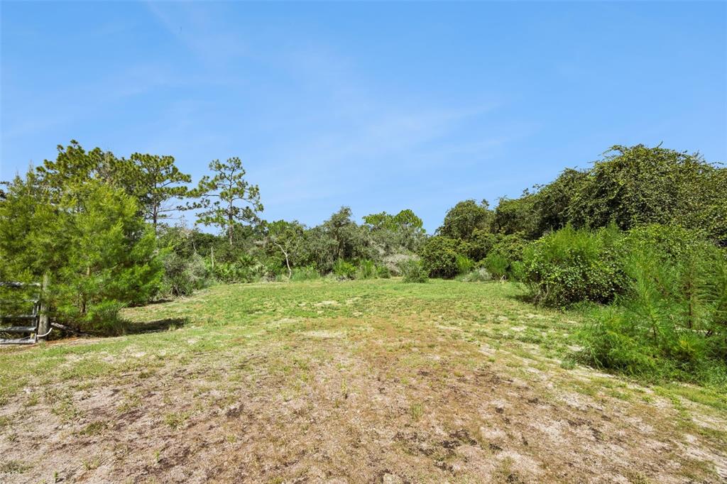 680 Wild Acres Road Osteen, FL 32764 - Photo 33 of 46 Gallery Image 33