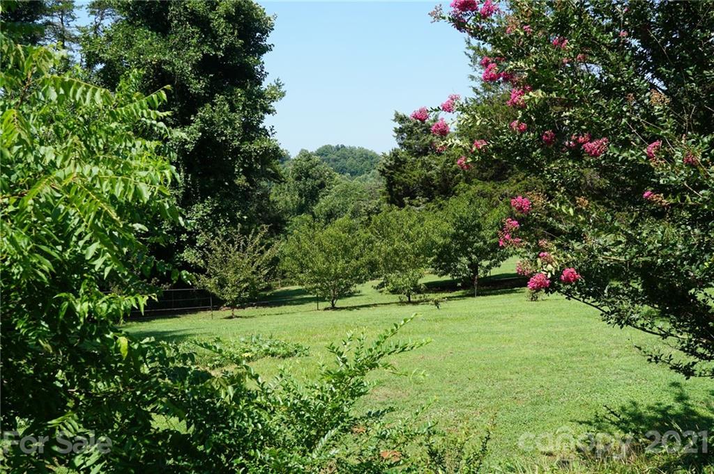 112 John Smith Road Rutherfordton, NC 28139 - Photo 23 of 48 a view of a green field with lots of flower in it