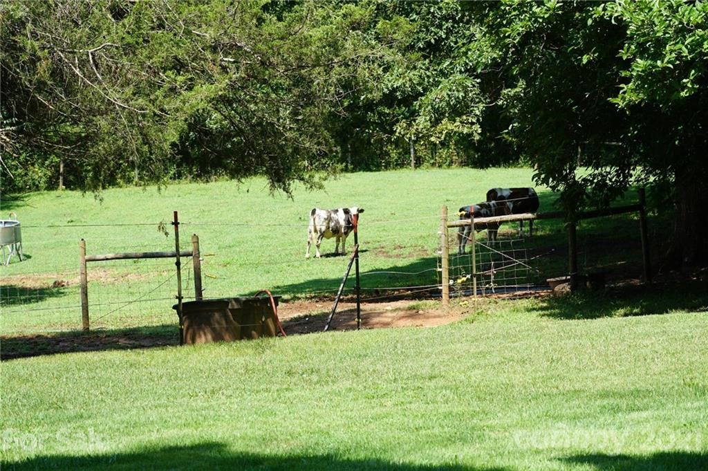 112 John Smith Road Rutherfordton, NC 28139 - Photo 26 of 48 a view of a park with large trees
