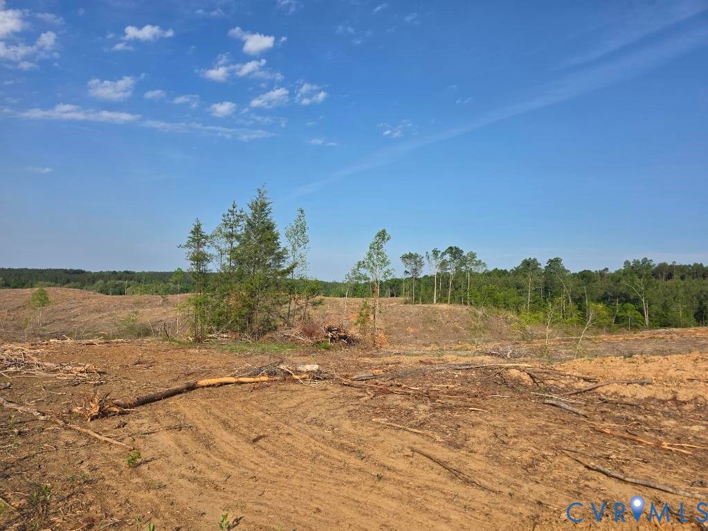 5367 Lunenburg County Road Keysville, VA 23947 - Photo 6 of 8