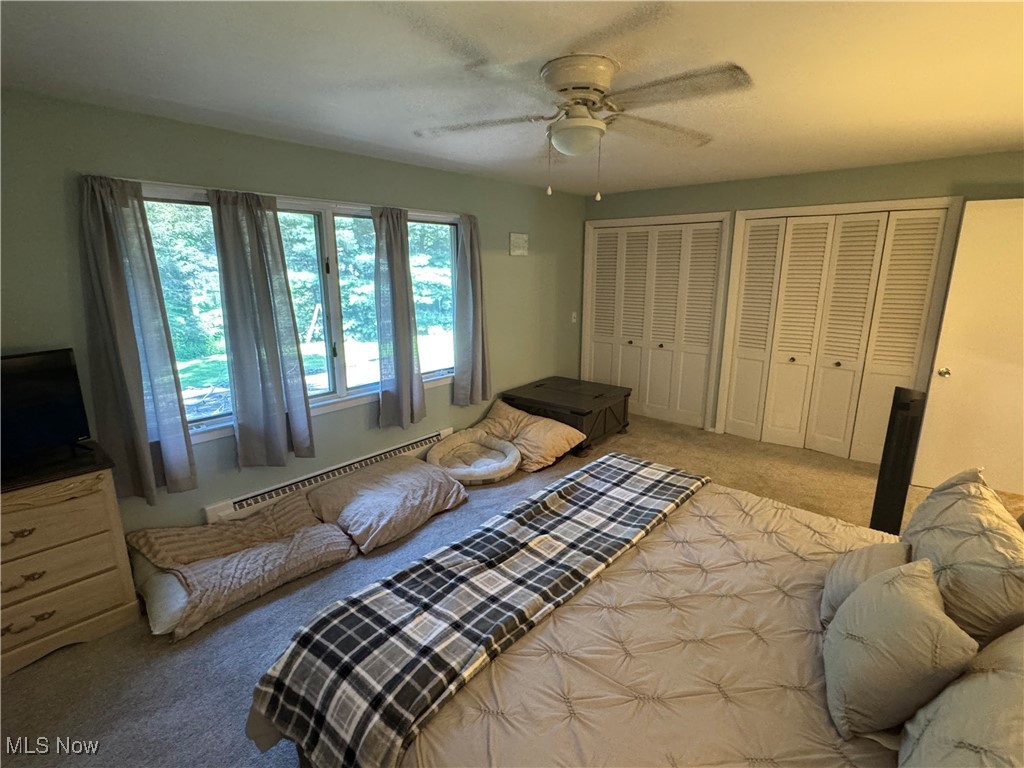 1452 Avalon Road Wooster, OH 44691 - Photo 18 of 31 Bedroom with baseboard heating, carpet, multiple closets, and ceiling fan