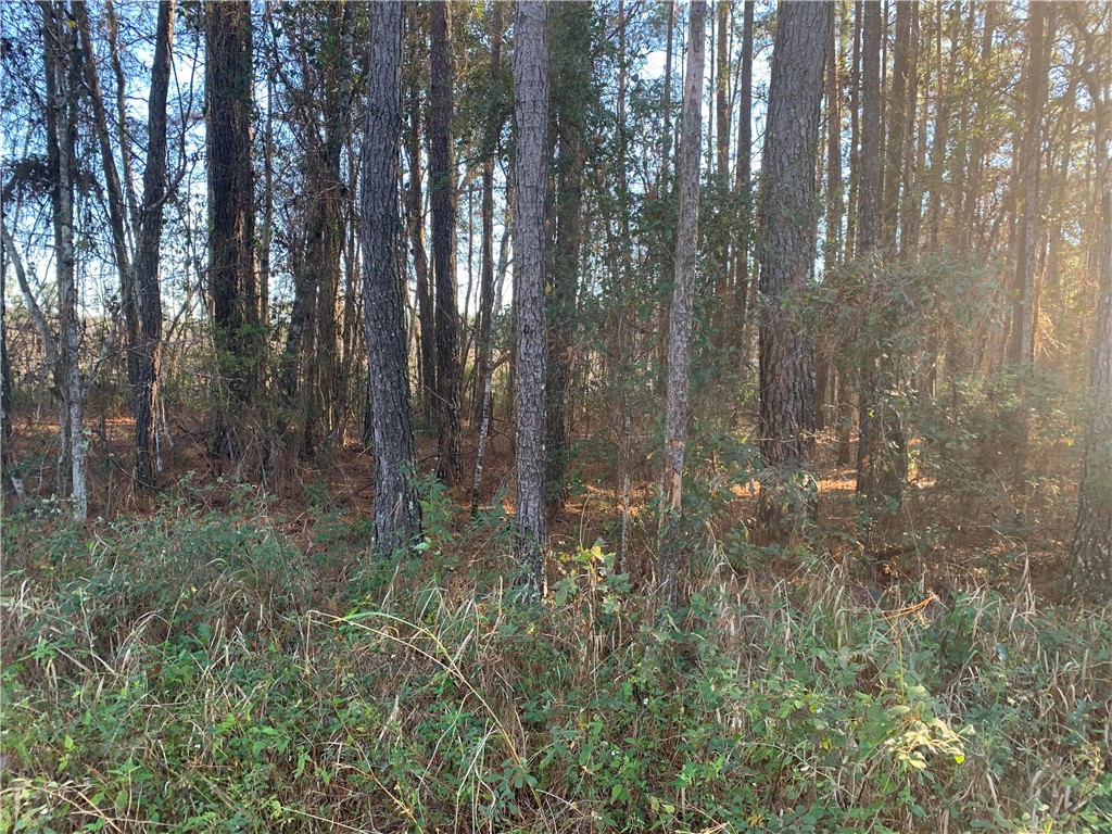 2 Tracy Road Hilliard, FL 32046 - Photo 1 of 4 Gallery Image 1