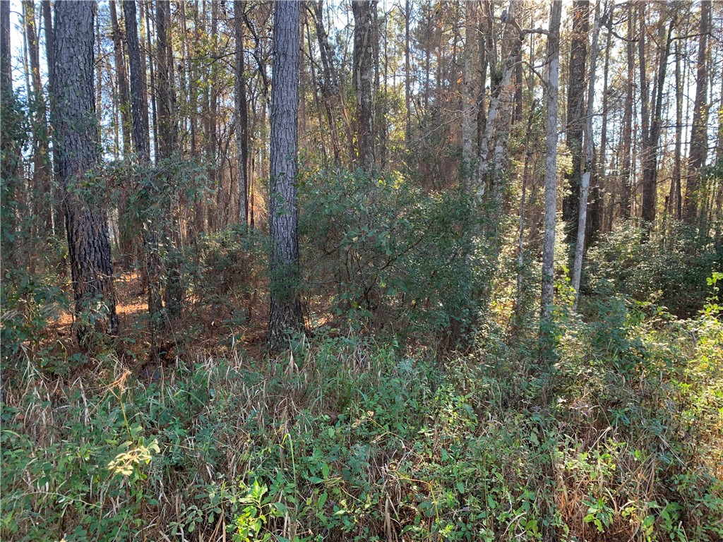 2 Tracy Road Hilliard, FL 32046 - Photo 2 of 4 Gallery Image 2