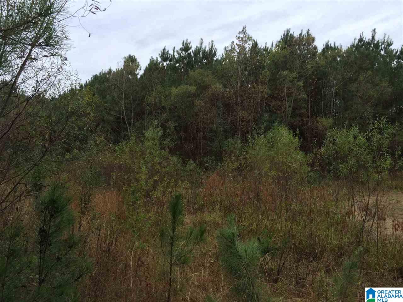Page Spring Road, Unit 4 Arab, AL 35016 - Photo 17 of 29
