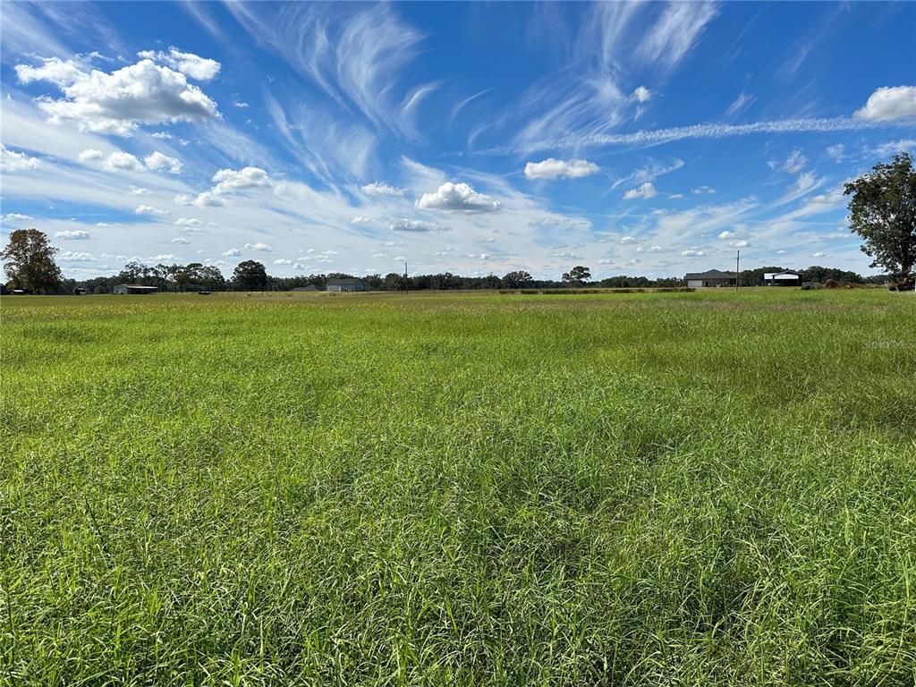 Southwest Haltiwanger Road Lake City, FL 32024 - Photo 1 of 1 Gallery Image 1