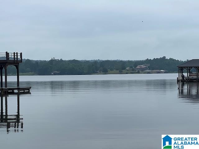 104 Ted Street Ohatchee, AL 36271 - Photo 41 of 45