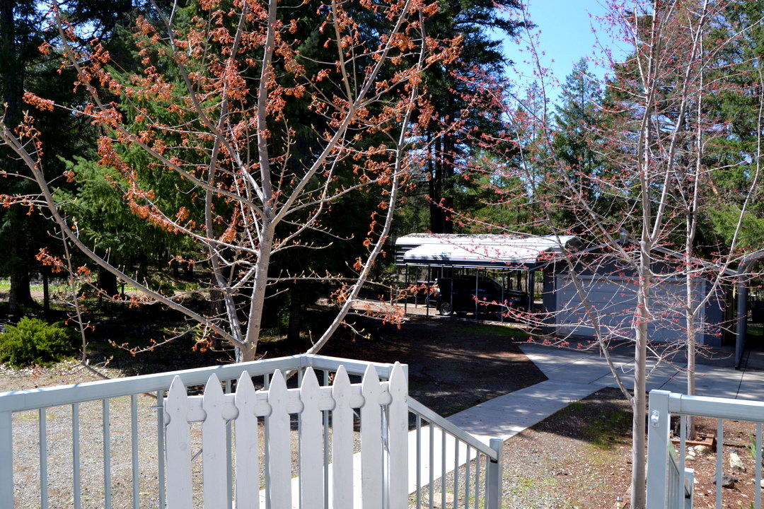 3320 Riverbanks Road Grants Pass, OR 97527 - Photo 4 of 35 DSC_9652