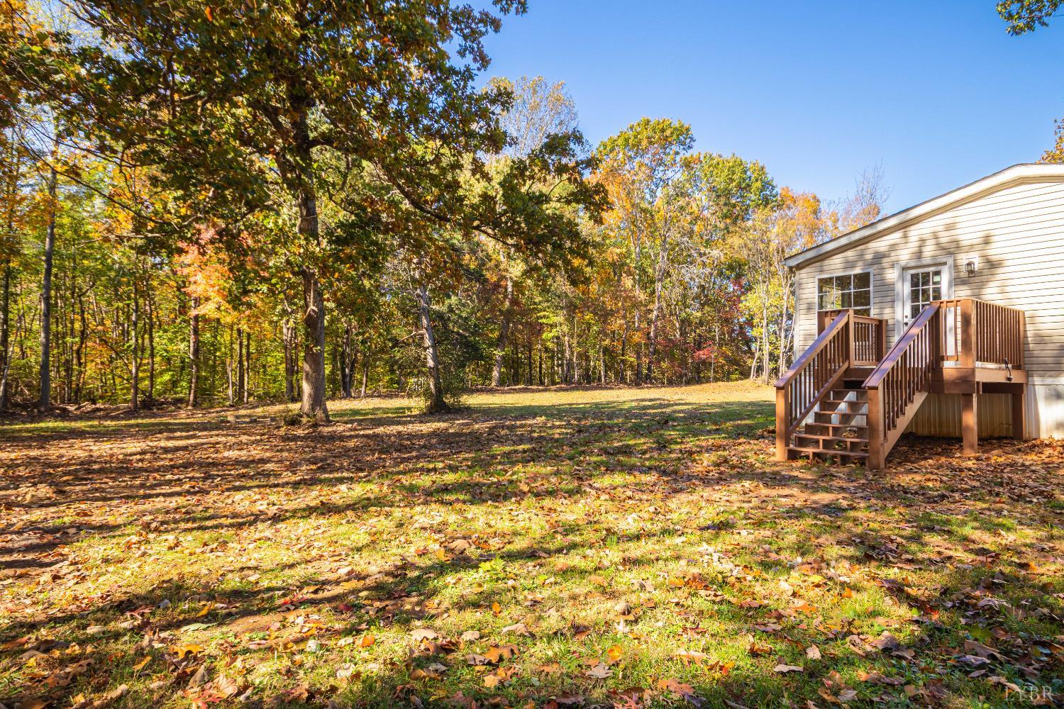 4791 Salem Road Spout Spring, VA 24593 - Photo 16 of 17 a view of a yard with a tree