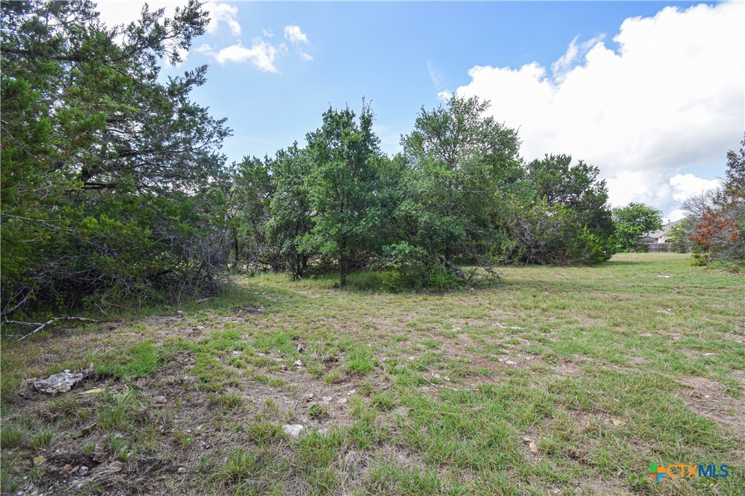 2114 Sparta Road Belton, TX 76513 - Photo 40 of 45