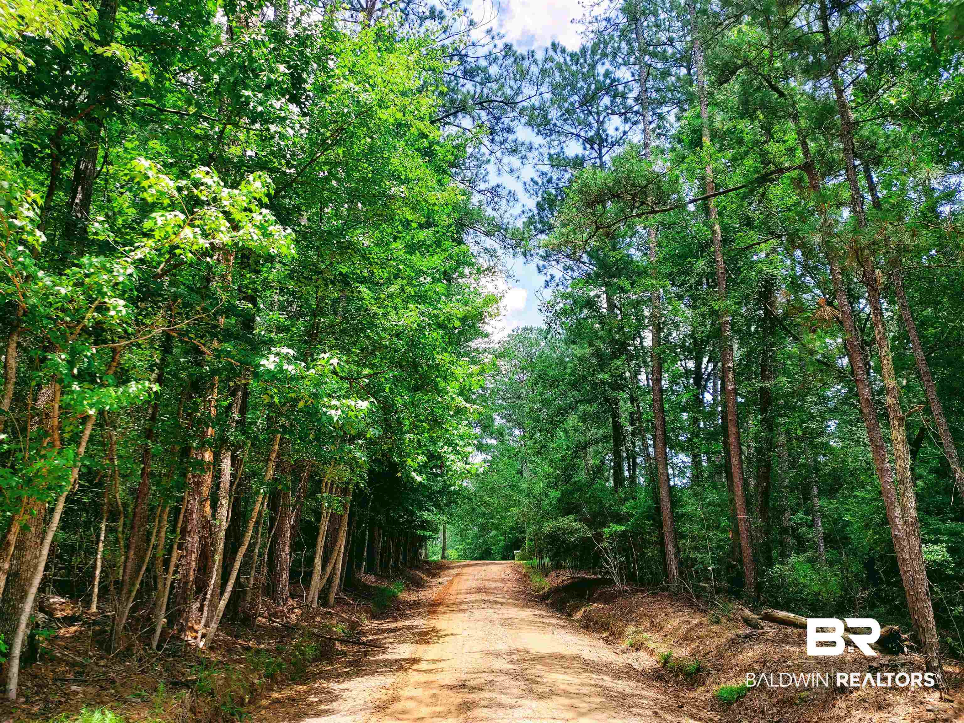 48 Highway 17 Millry, AL 36558 - Photo 45 of 50