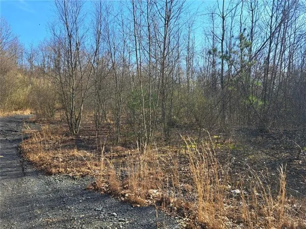 a view of a pathway of a yard