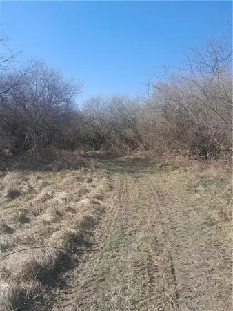 a view of a dry yard with trees