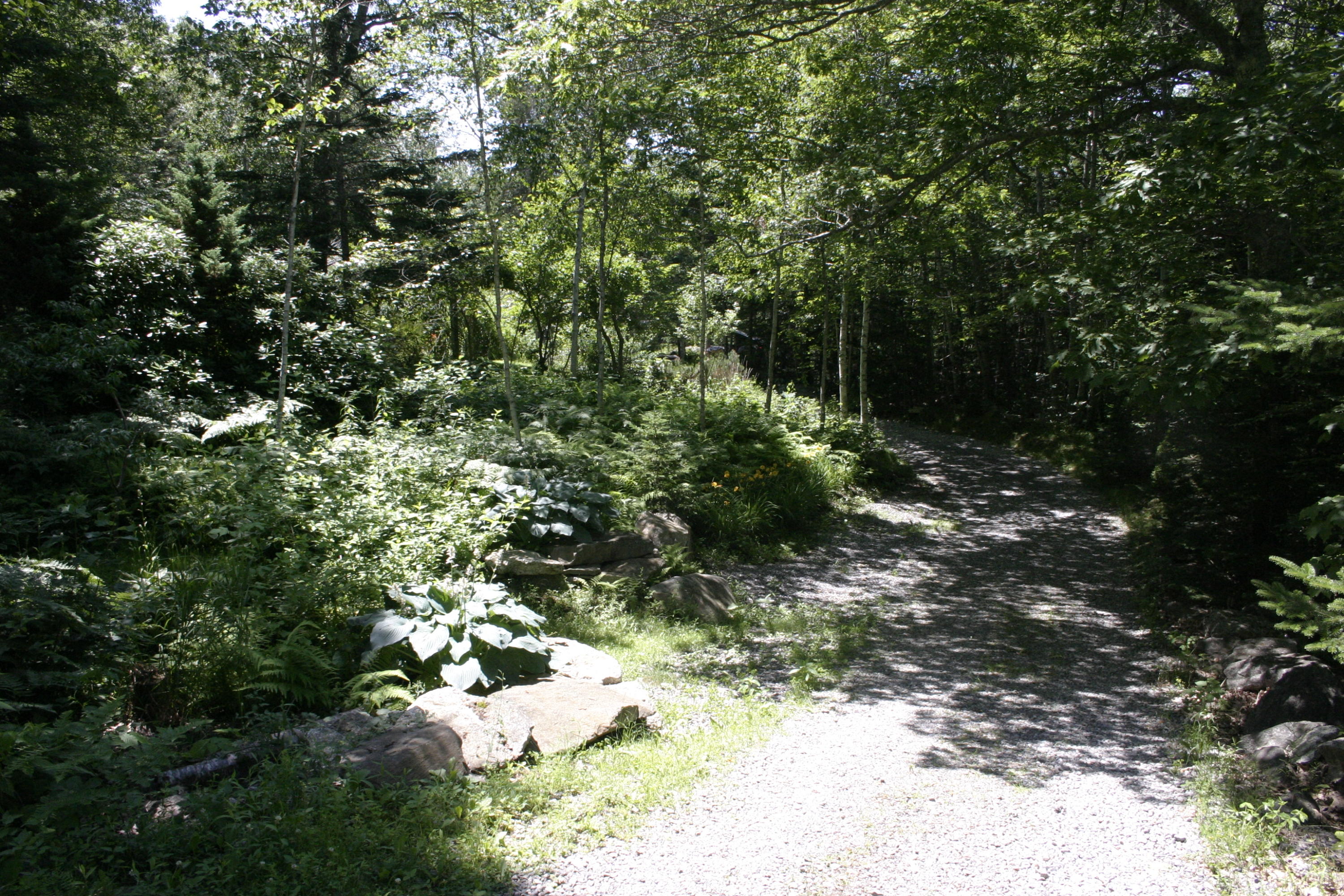 36 Granite Hill Road Pemaquid, ME 04558 - Photo 133 of 134 IMG_0482