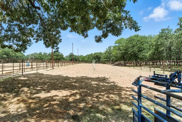 a view of a yard with plants and trees