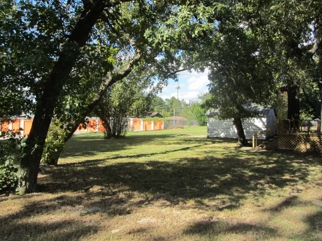 a view of a trees in a yard