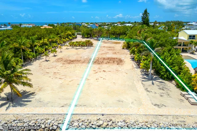 a view of a lake with a mountain