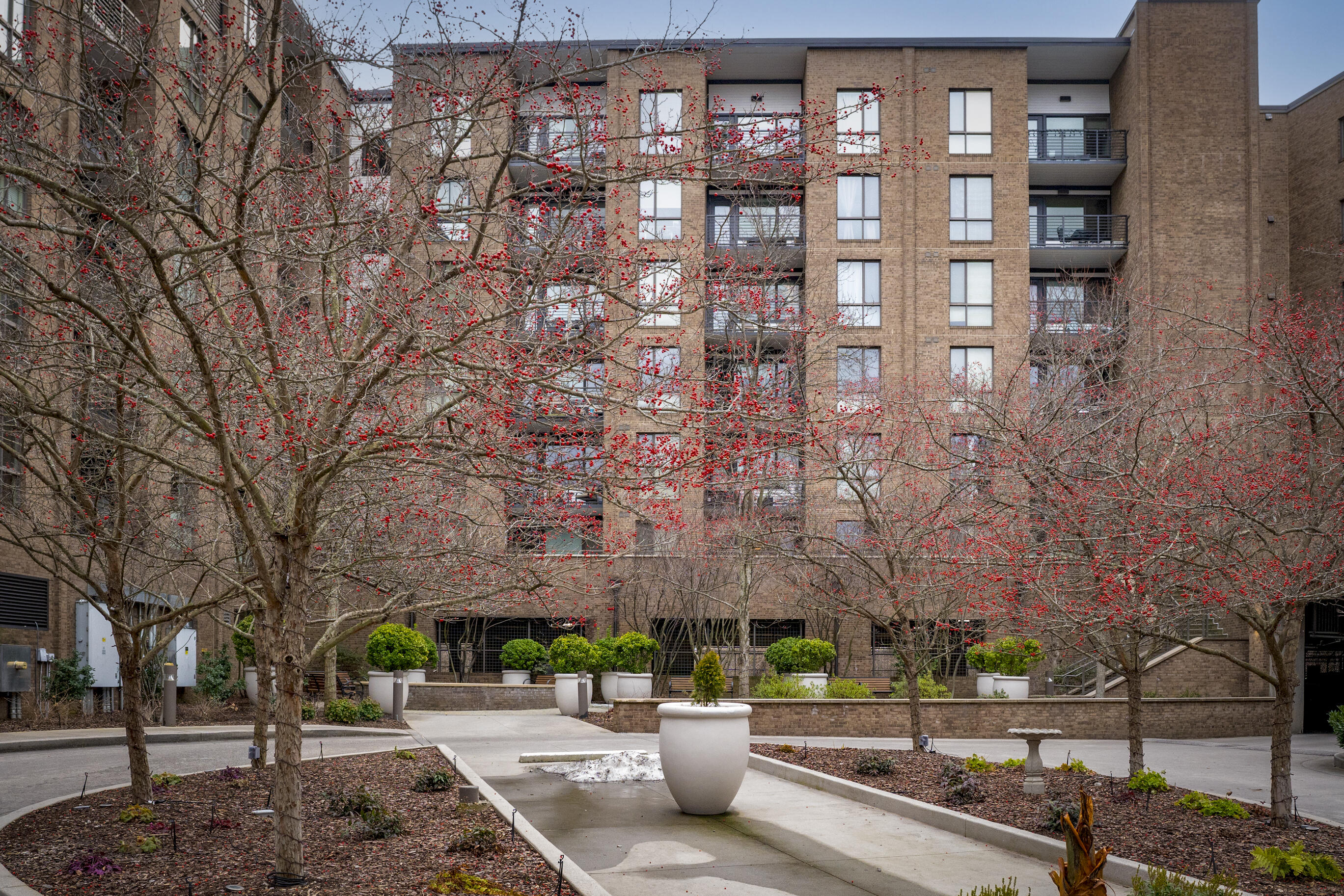 200 Manufacturers Road, Unit 219 Chattanooga, TN 37405 - Photo 42 of 51 _DSC5129-Edit