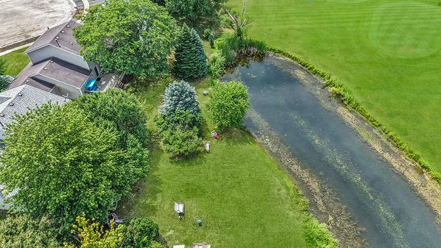 a lush green forest with lots of trees