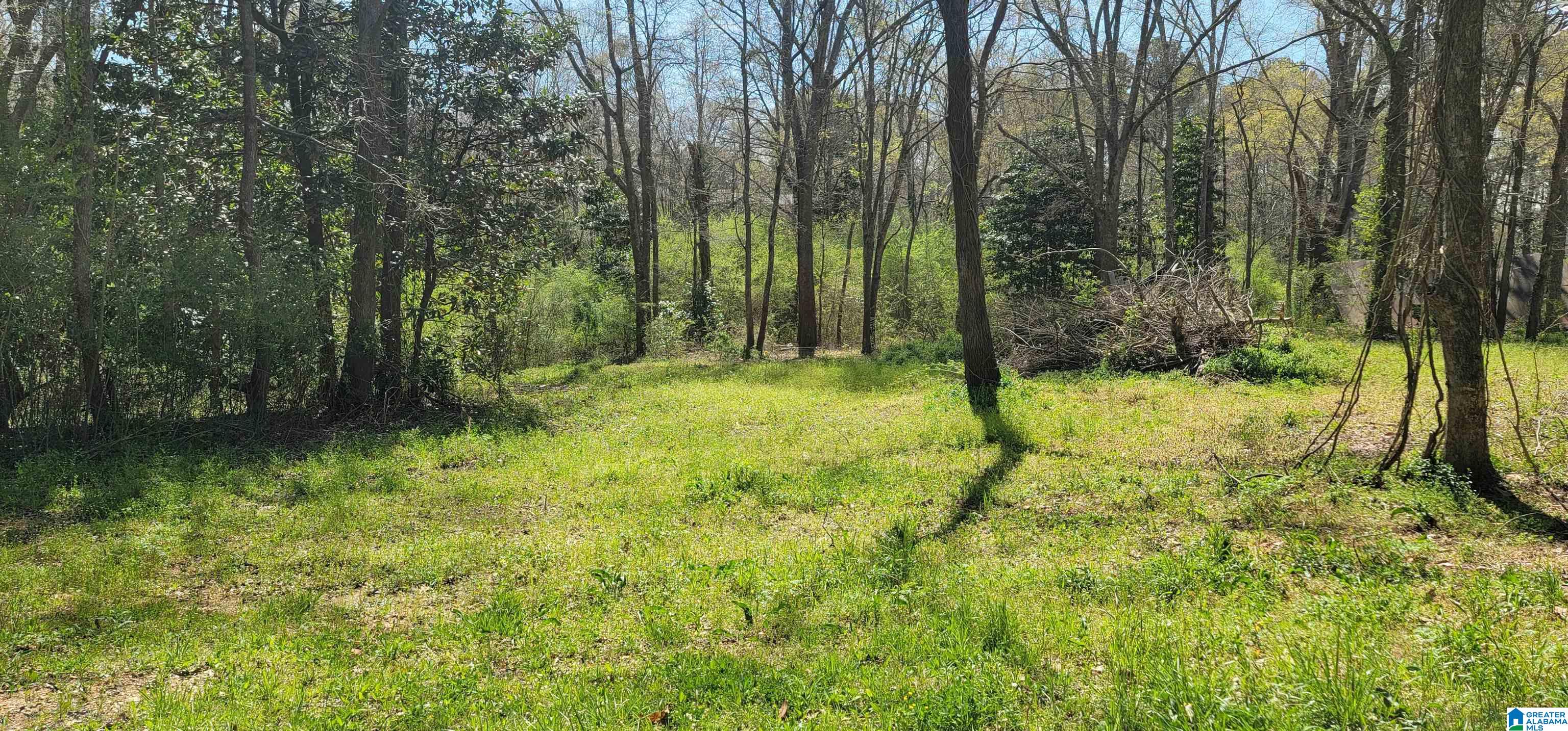 0 Osborne Street, Unit 3 ACRES Heflin, AL 36264 - Photo 3 of 11