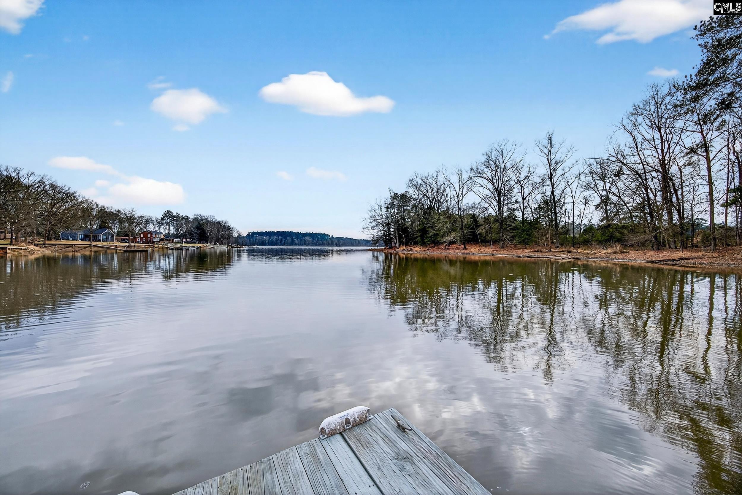 1037 Natures Cove Road Saluda, SC 29138 - Photo 2 of 45