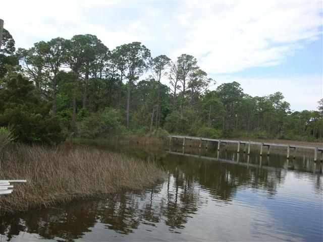 163 Timber Island Road Franklin County, FL 32322 - Photo 1 of 11 Gallery Image 1