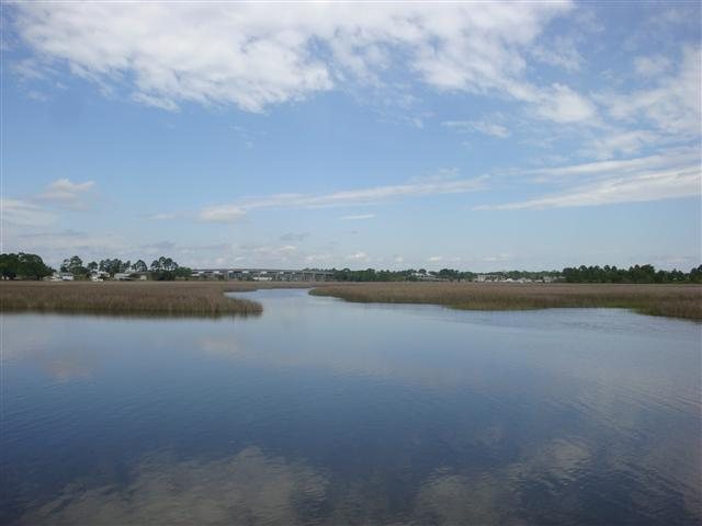 163 Timber Island Road Franklin County, FL 32322 - Photo 2 of 11 Gallery Image 2