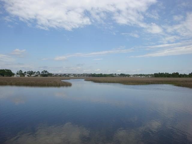 163 Timber Island Road Franklin County, FL 32322 - Photo 3 of 11 Gallery Image 3
