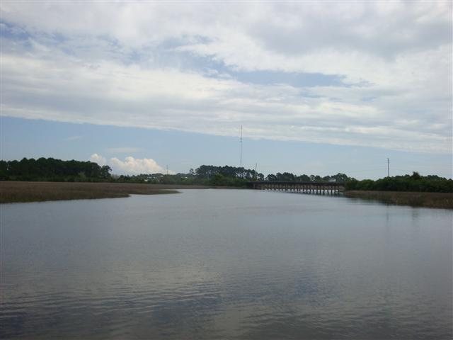 163 Timber Island Road Franklin County, FL 32322 - Photo 4 of 11 Gallery Image 4