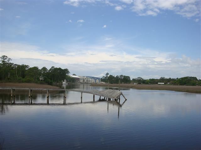163 Timber Island Road Franklin County, FL 32322 - Photo 6 of 11 Gallery Image 6