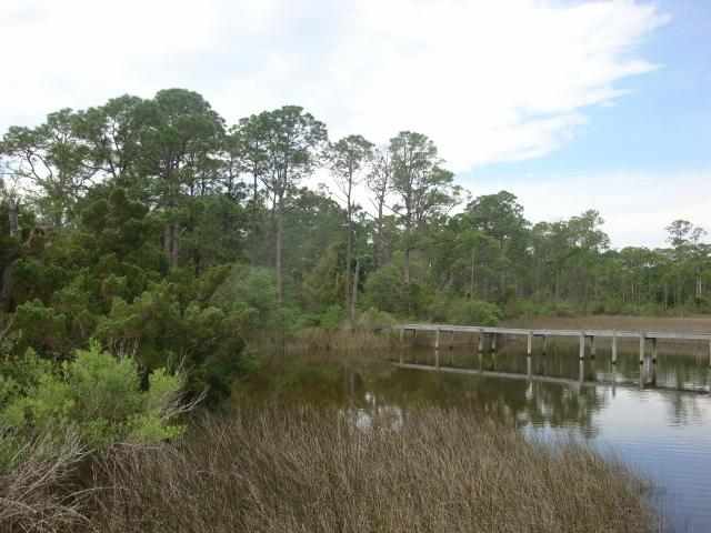 163 Timber Island Road Franklin County, FL 32322 - Photo 9 of 11 Gallery Image 9
