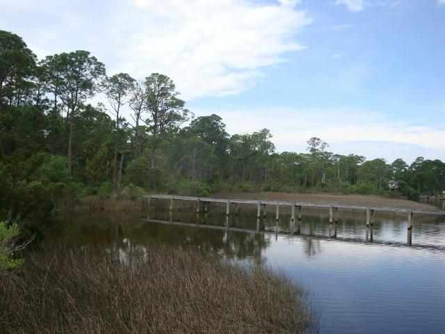 163 Timber Island Road Franklin County, FL 32322 - Photo 10 of 11 Gallery Image 10