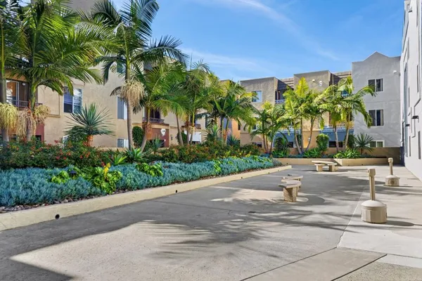 a view of a swimming pool with a lawn chairs and palm trees