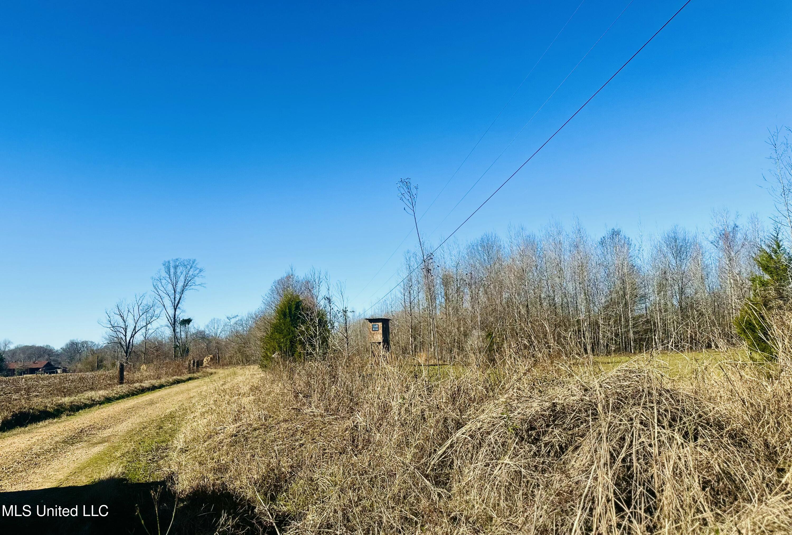 Meeks Road Lexington, MS 39095 - Photo 12 of 17 IMG_9100