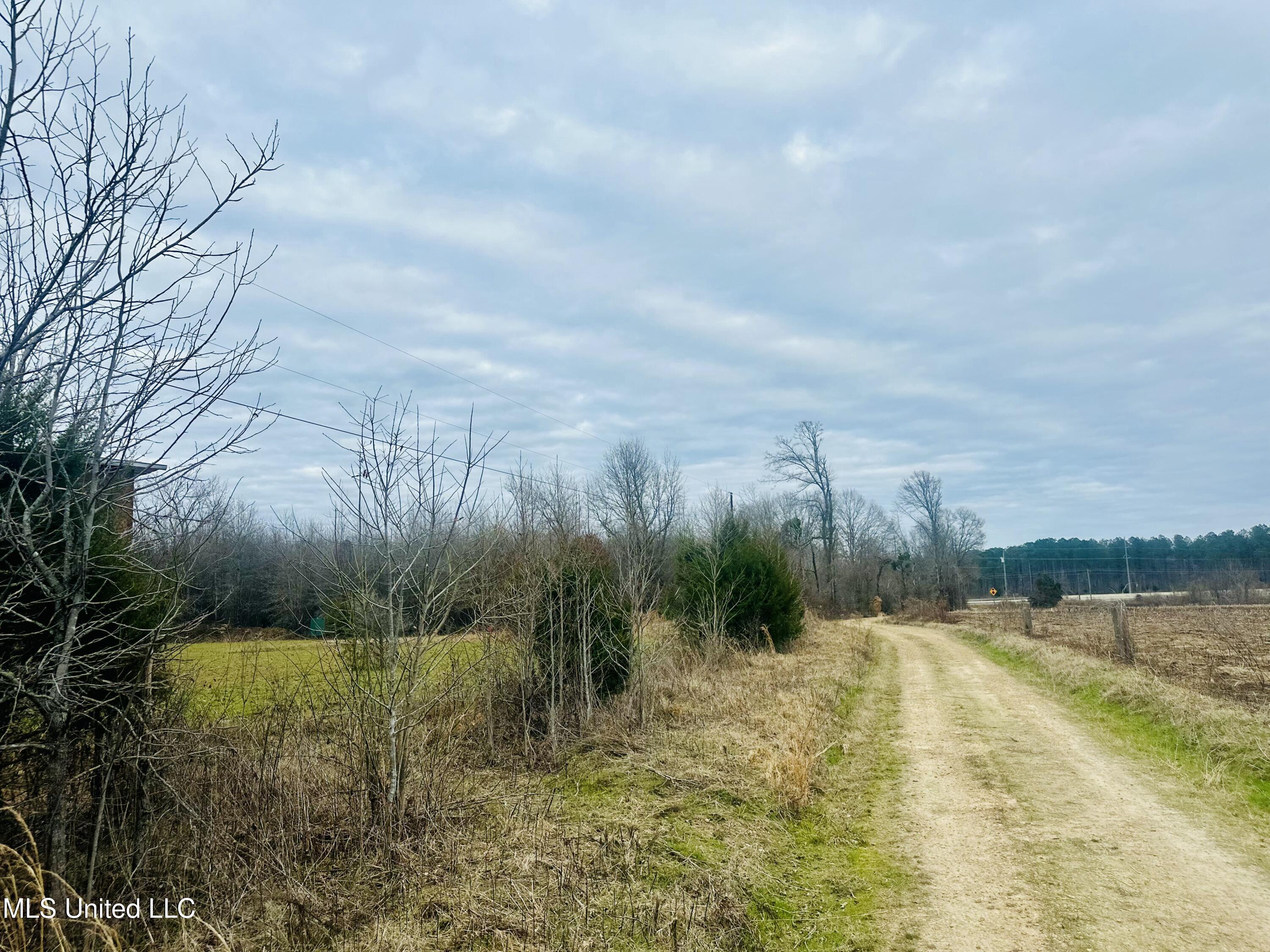 Meeks Road Lexington, MS 39095 - Photo 13 of 17 IMG_9219