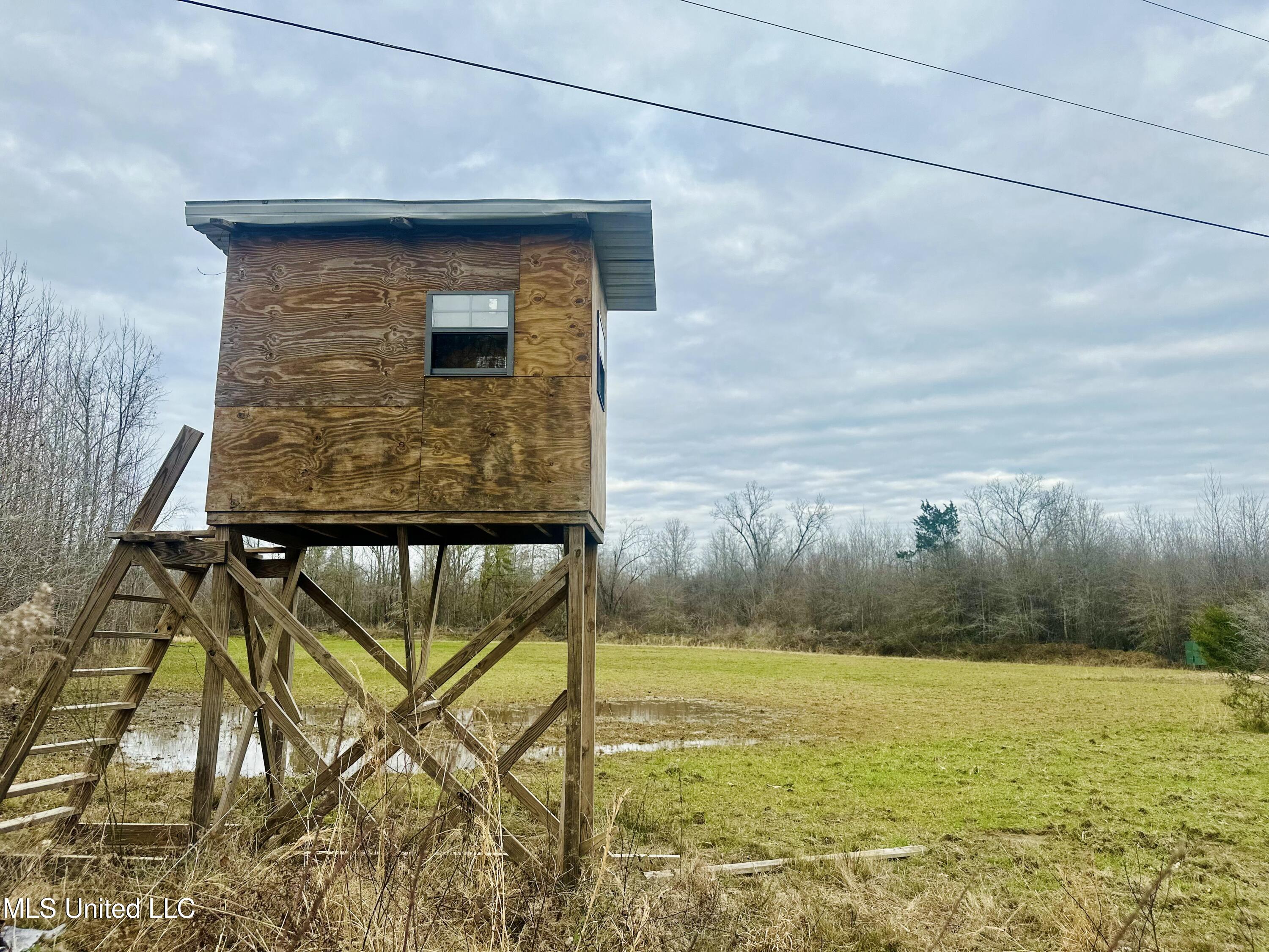 Meeks Road Lexington, MS 39095 - Photo 15 of 17 IMG_9223