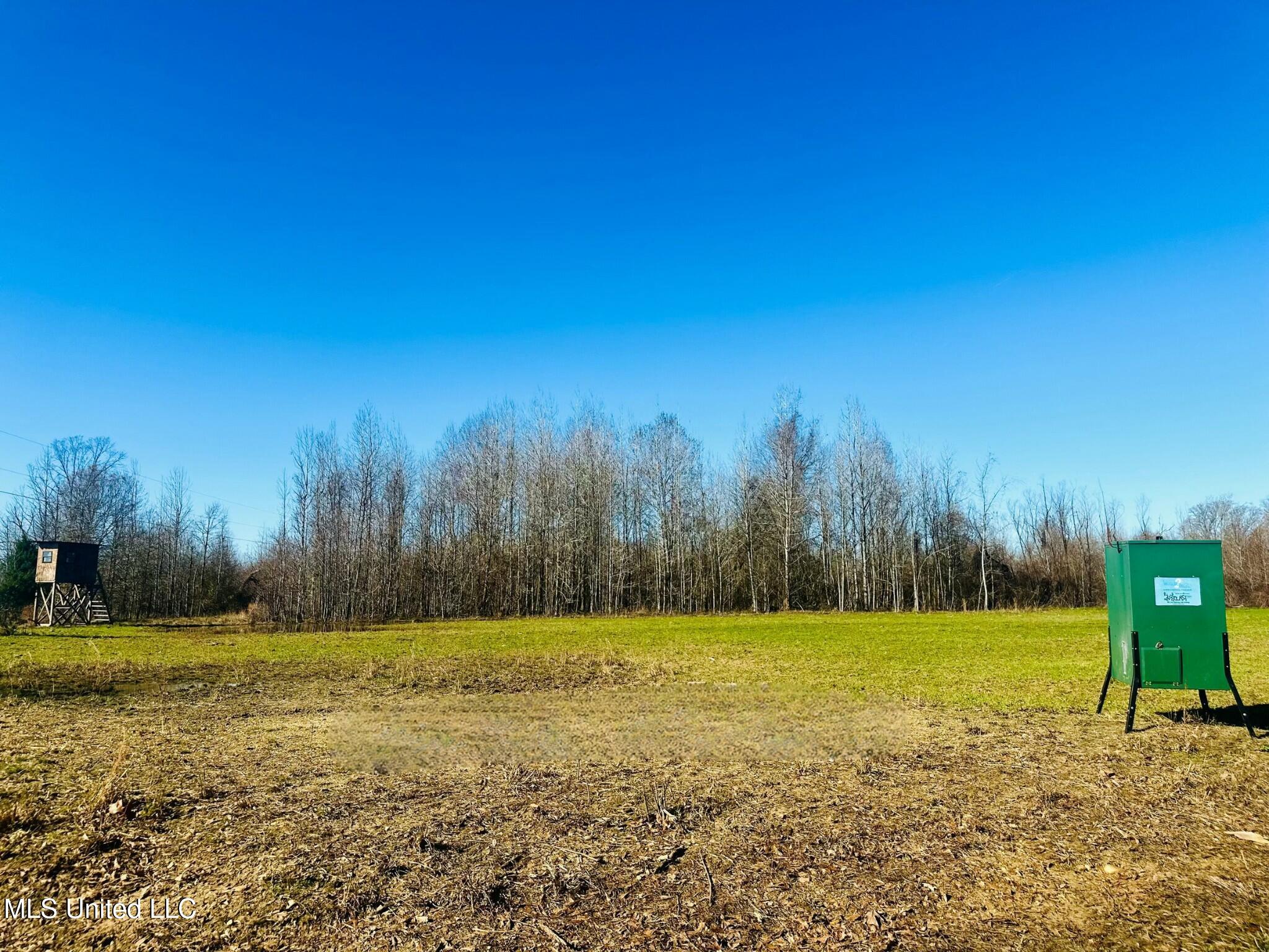 Meeks Road Lexington, MS 39095 - Photo 2 of 17 tempImageJXNmeg