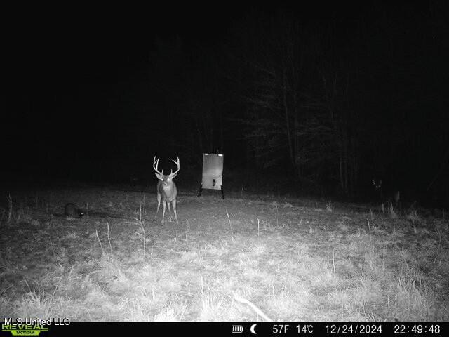 Meeks Road Lexington, MS 39095 - Photo 4 of 17 tempImageQ1wq5y