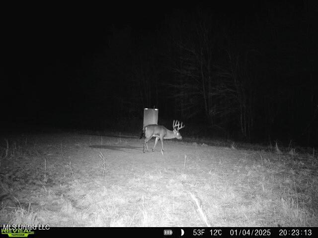 Meeks Road Lexington, MS 39095 - Photo 6 of 17 tempImage4aGuB0