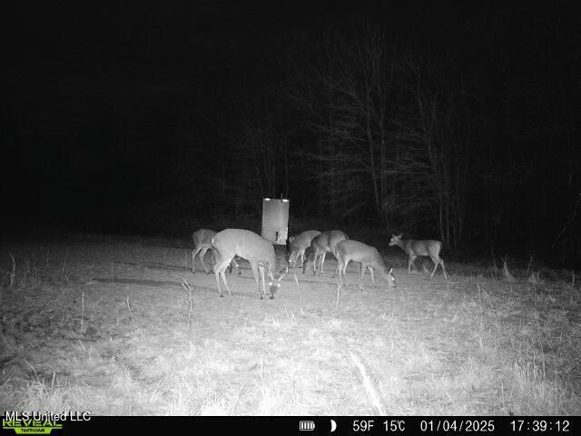 Meeks Road Lexington, MS 39095 - Photo 7 of 17 tempImagehBN9Qx