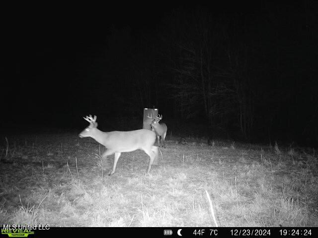 Meeks Road Lexington, MS 39095 - Photo 8 of 17 tempImageYLCghv