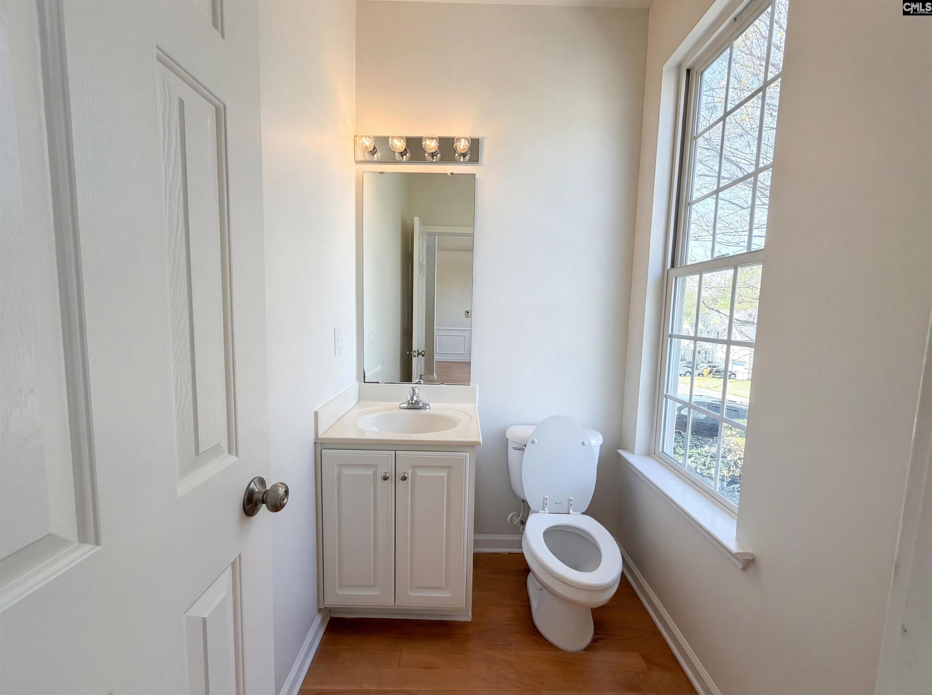 112 Coopers Hawk Circle Irmo, SC 29063 - Photo 13 of 26 a bathroom with a toilet sink and a window