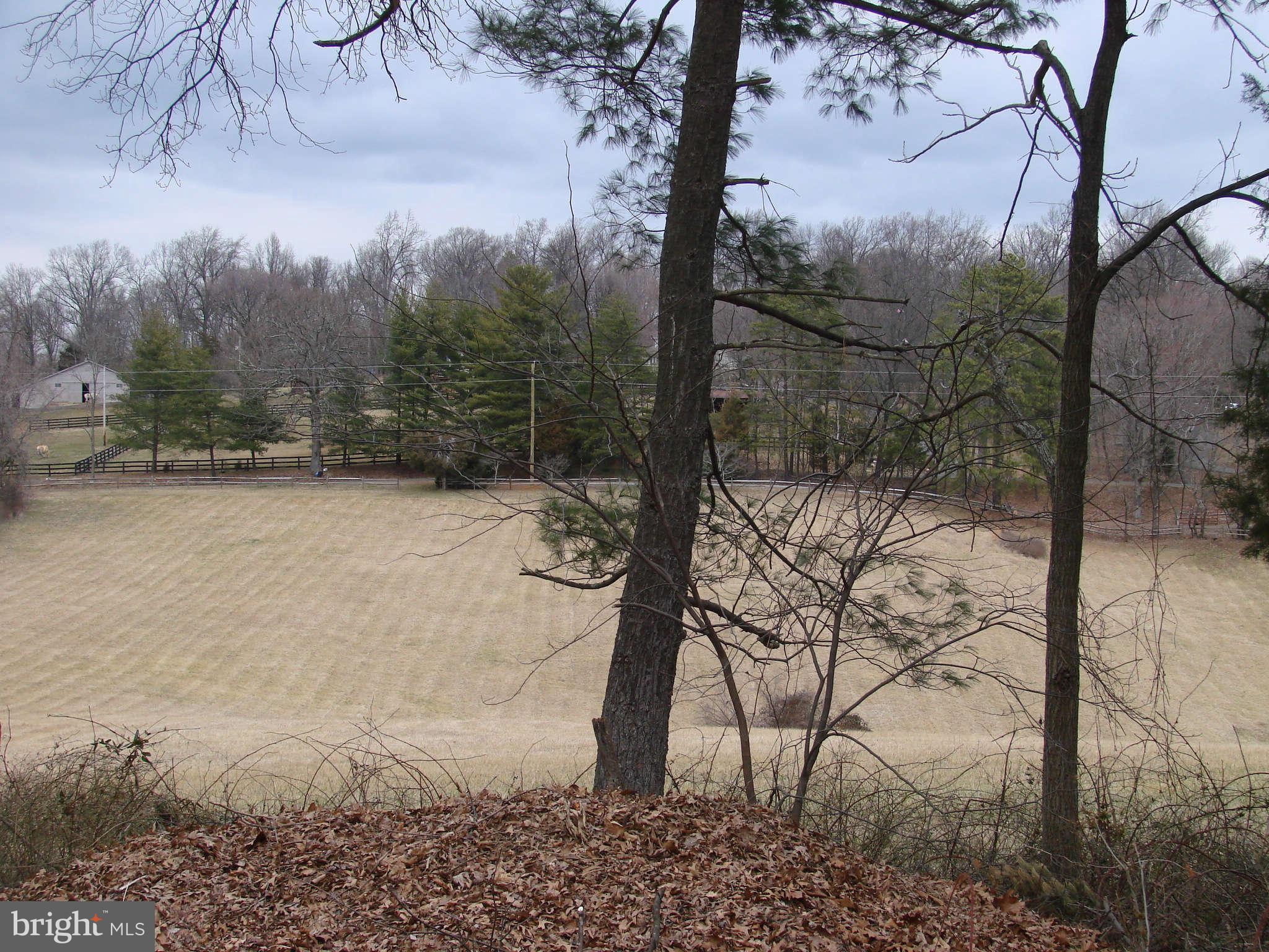 6733 Settlers Ridge Road Warrenton, VA 20187 - Photo 17 of 20 View