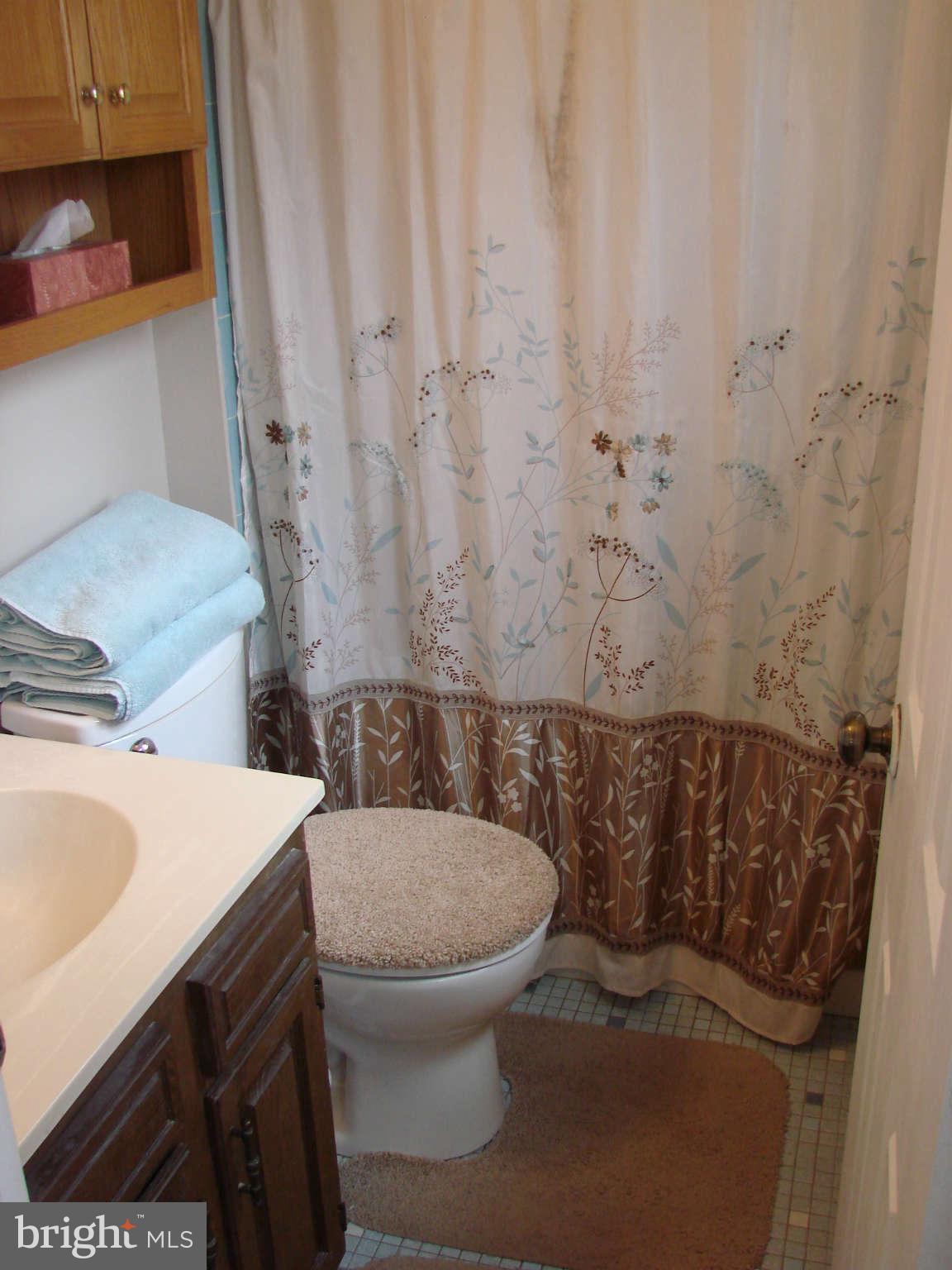 6733 Settlers Ridge Road Warrenton, VA 20187 - Photo 8 of 20 Bath (Master)