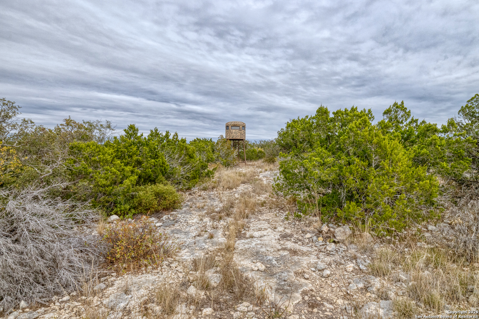 25 Sd 65065 Dusty Rose Ranch Rocksprings, TX 78880 - Photo 27 of 66