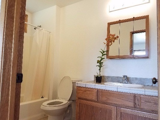 11-2017 Ohialani Road Mountain View, HI 96771 - Photo 18 of 25 Gallery Image 18