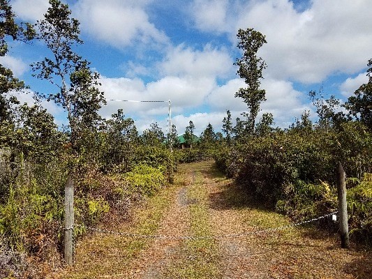 11-2017 Ohialani Road Mountain View, HI 96771 - Photo 2 of 25 Gallery Image 2