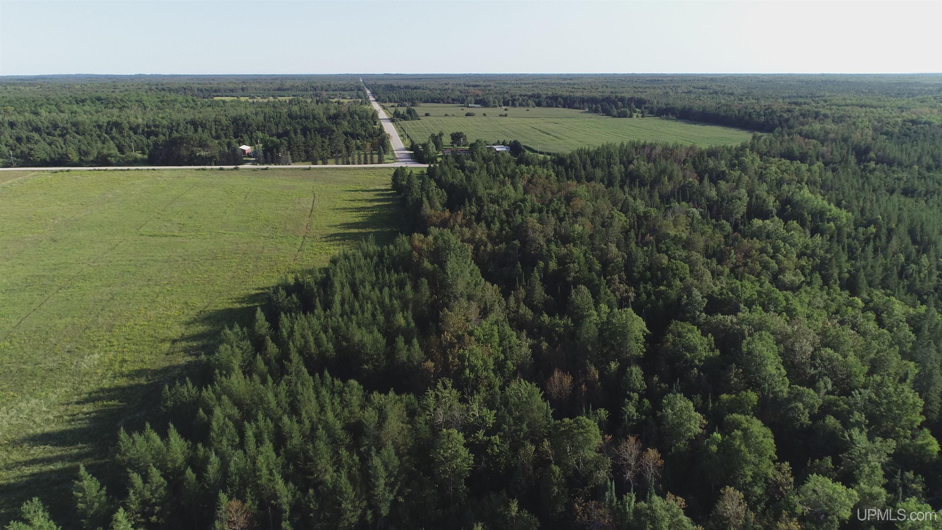 332-acres River Road Gulliver, MI 49840 - Photo 11 of 14