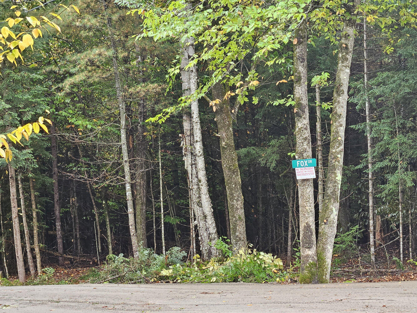 85 Loon Road Embden, ME 04958 - Photo 12 of 12 20250925_102004_result